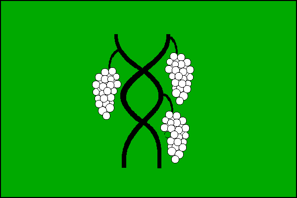 city flag