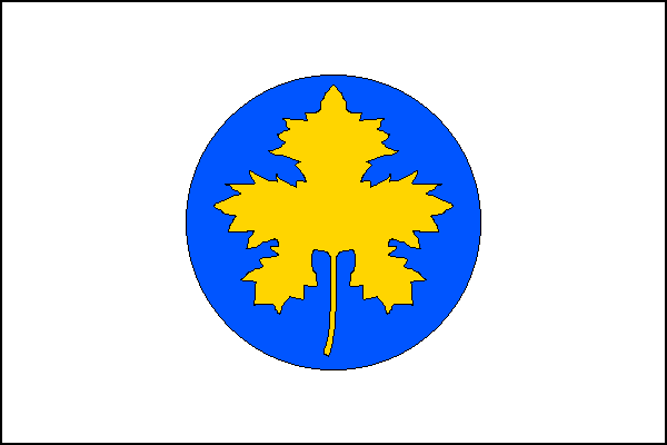 city flag