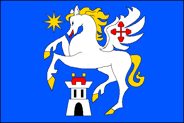 city flag