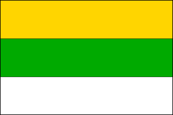 city flag