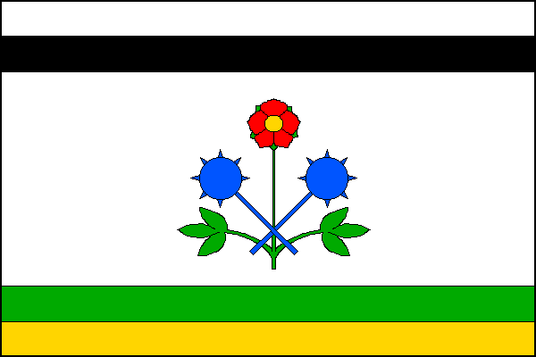 city flag