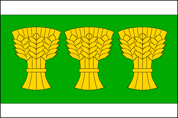 city flag