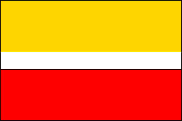 city flag