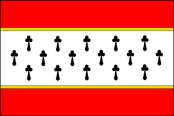 city flag