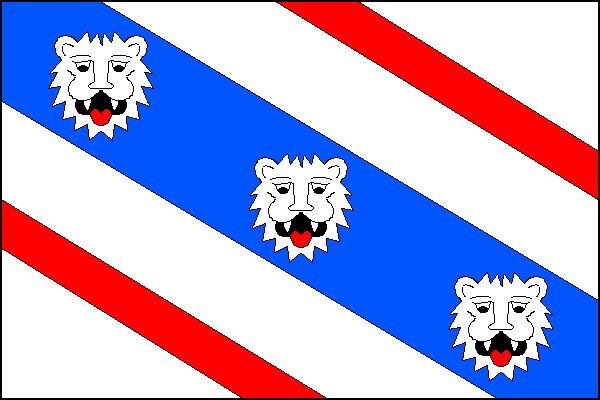 city flag