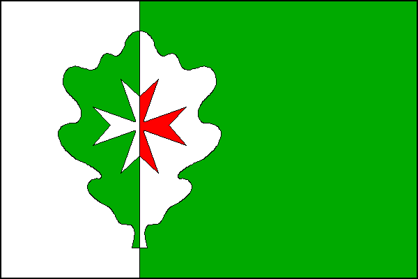 city flag