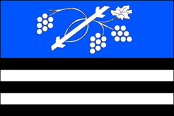 city flag