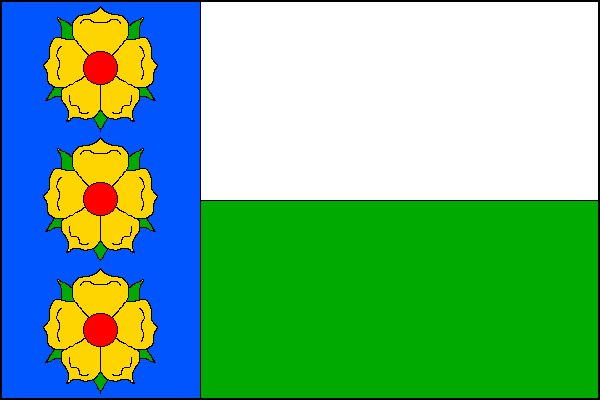 city flag