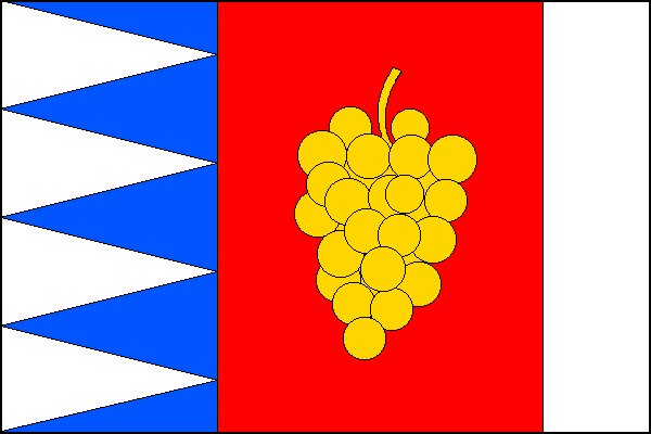 city flag