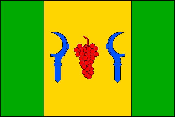 city flag