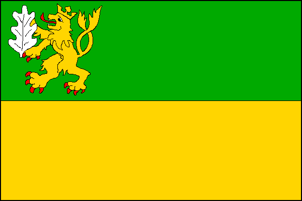 city flag