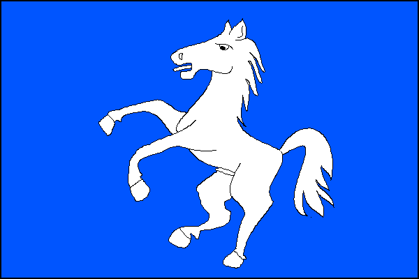 city flag