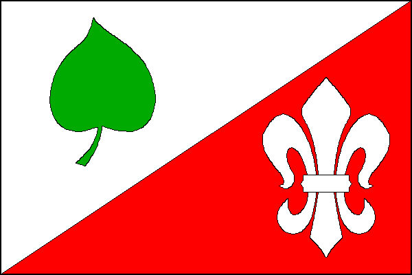 city flag