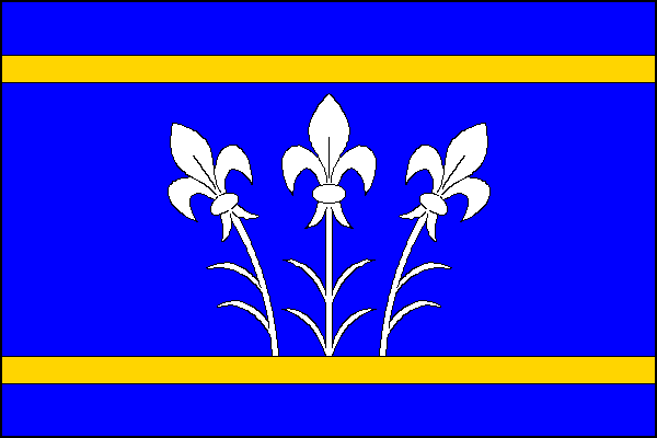 city flag