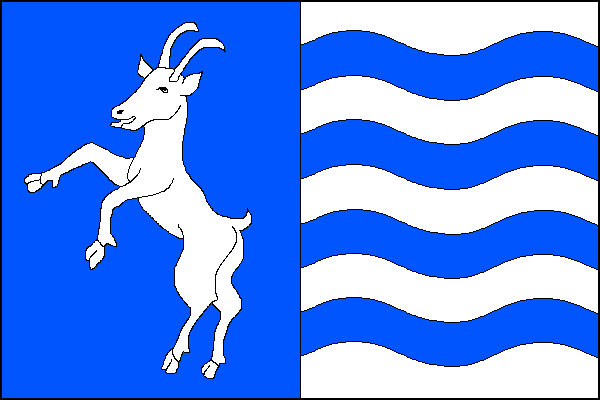 city flag