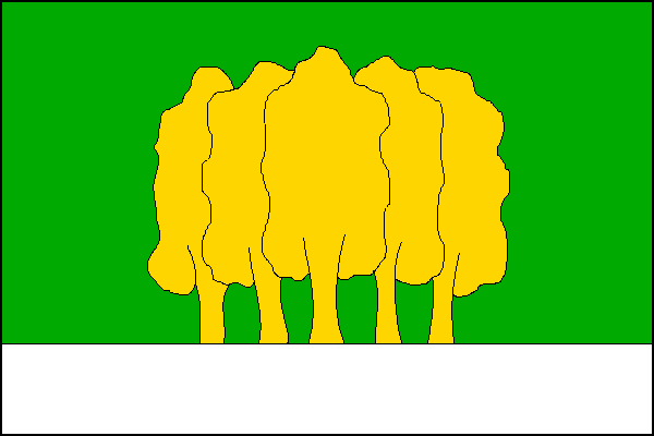 city flag