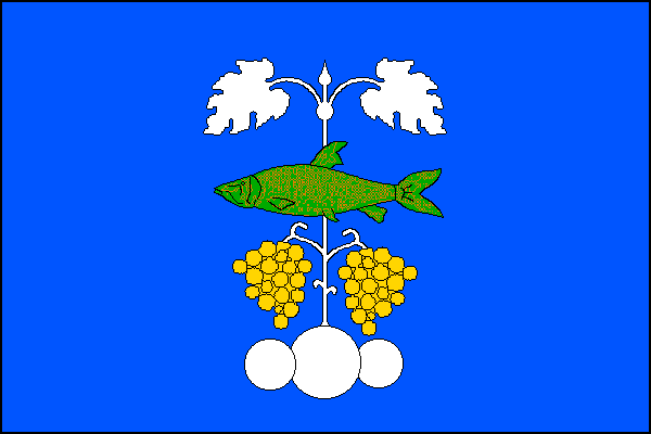 city flag