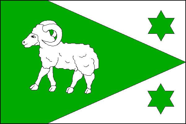 city flag