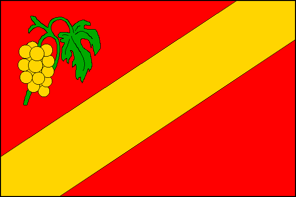 city flag