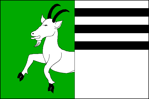 city flag