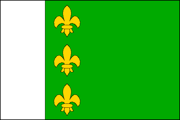 city flag