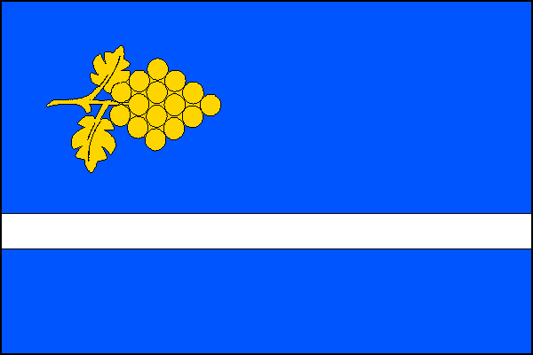 city flag