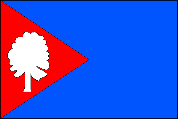 city flag