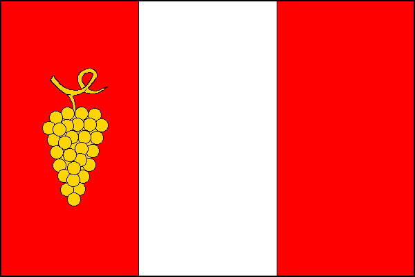 city flag