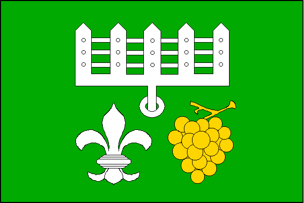 city flag