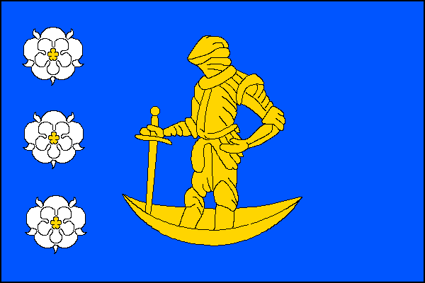 city flag