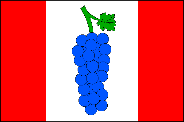 city flag