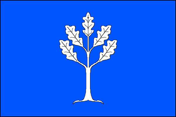 city flag