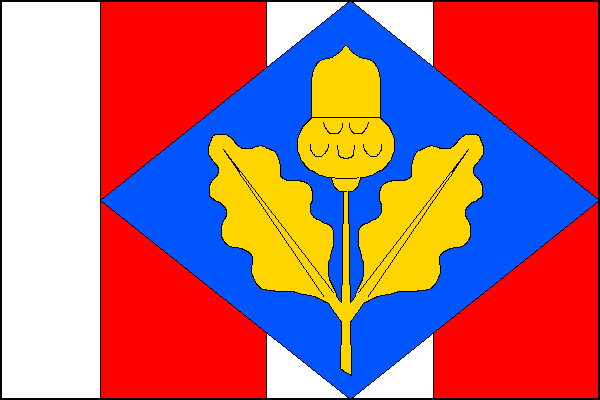 city flag