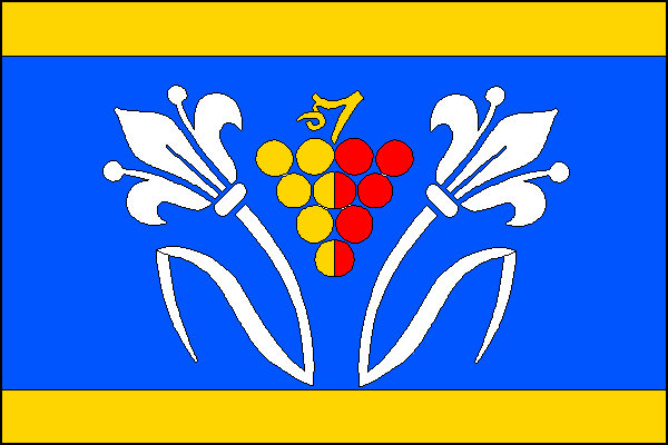 city flag