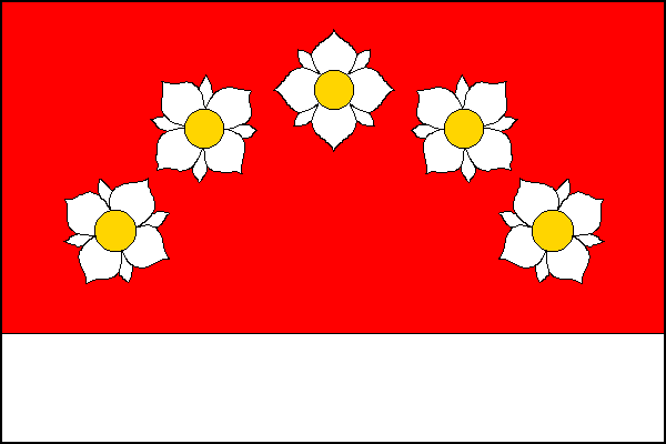 city flag