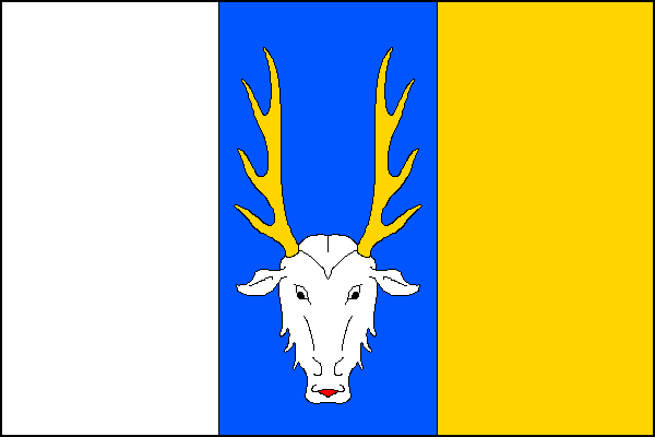 city flag