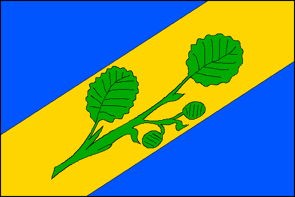 city flag