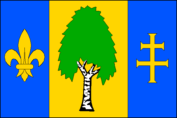 city flag