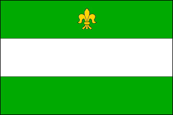 city flag