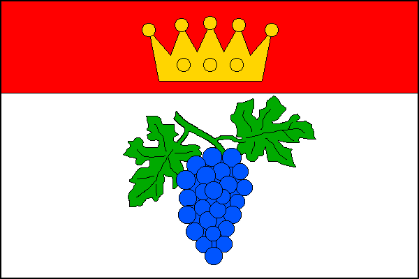 city flag