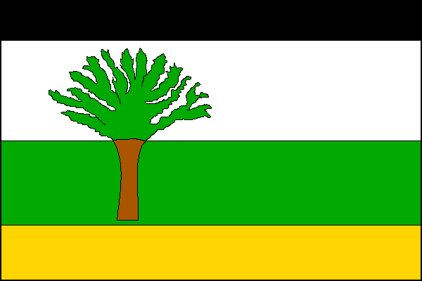 city flag