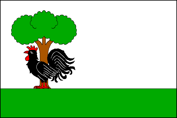 city flag