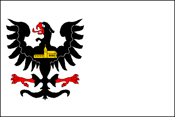 city flag