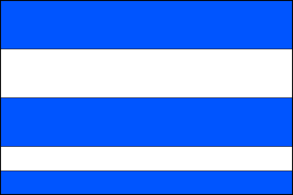 city flag