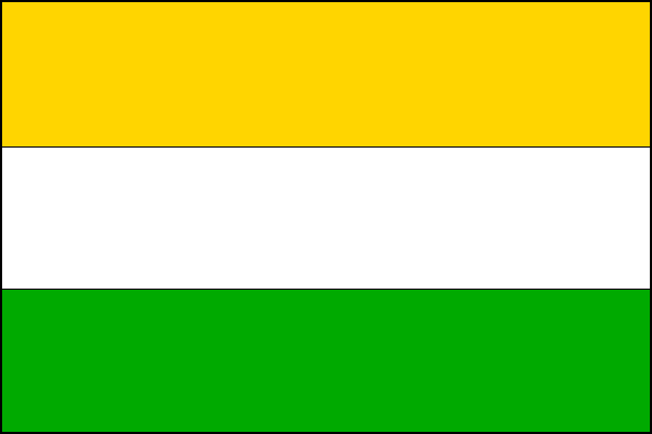 city flag