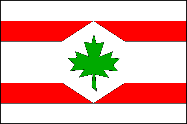 city flag