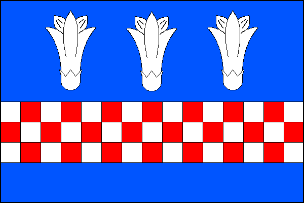 city flag