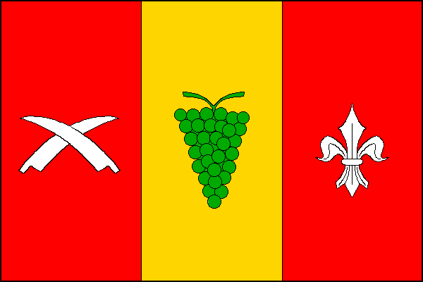 city flag