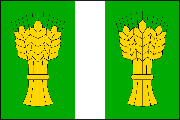 city flag