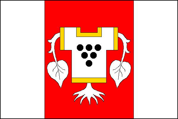 city flag